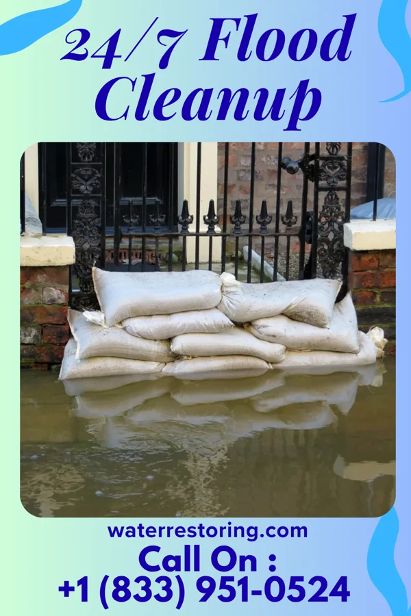 24/7 Flood Cleanup in Lewisville, IN