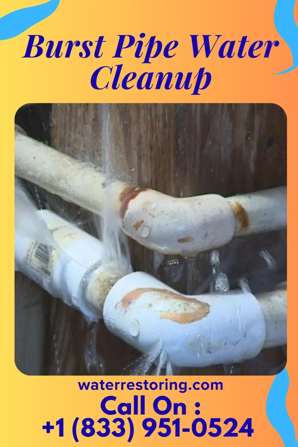 Burst Pipe Water Cleanup in Lewisville, IN