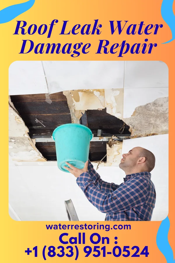 Roof Leak Water Damage Repair in Lewisville, IN