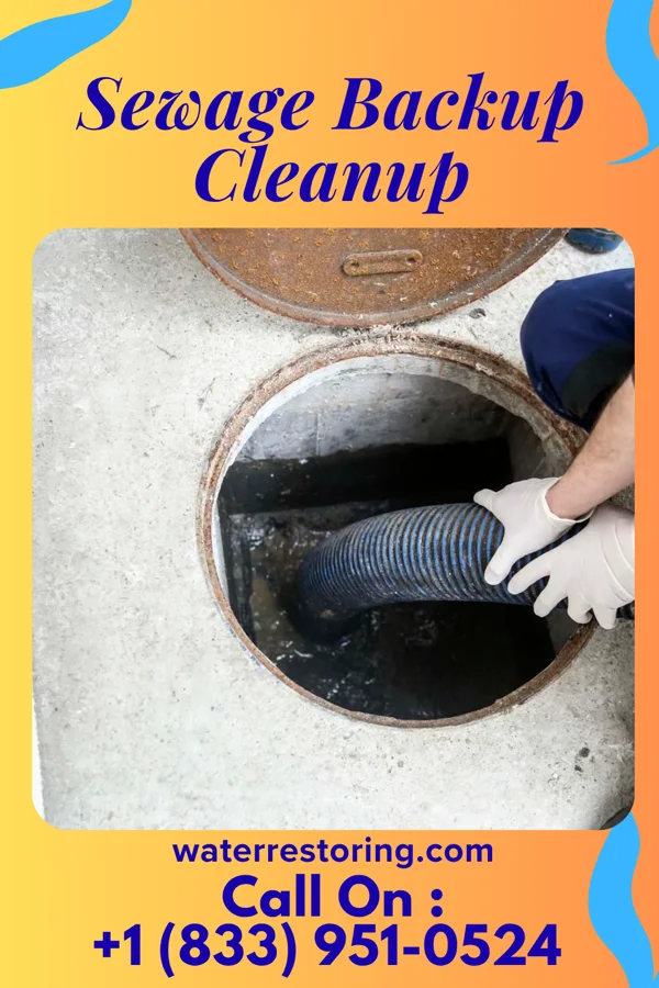 Sewage Backup Cleanup in Lewisville, IN