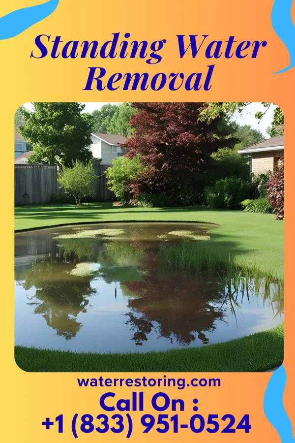 Standing Water Removal in Lewisville, IN